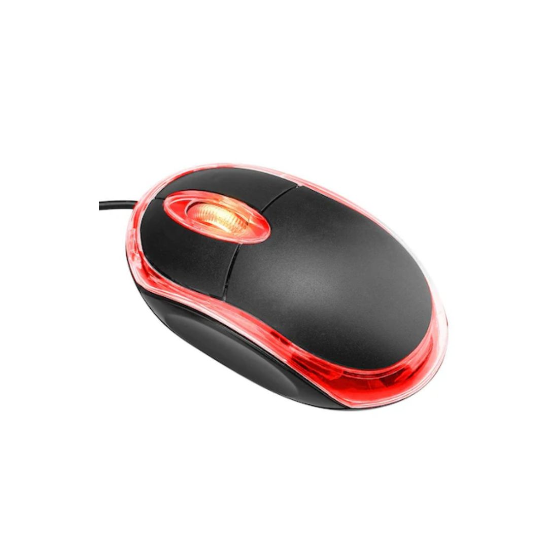 Computer Mouse
